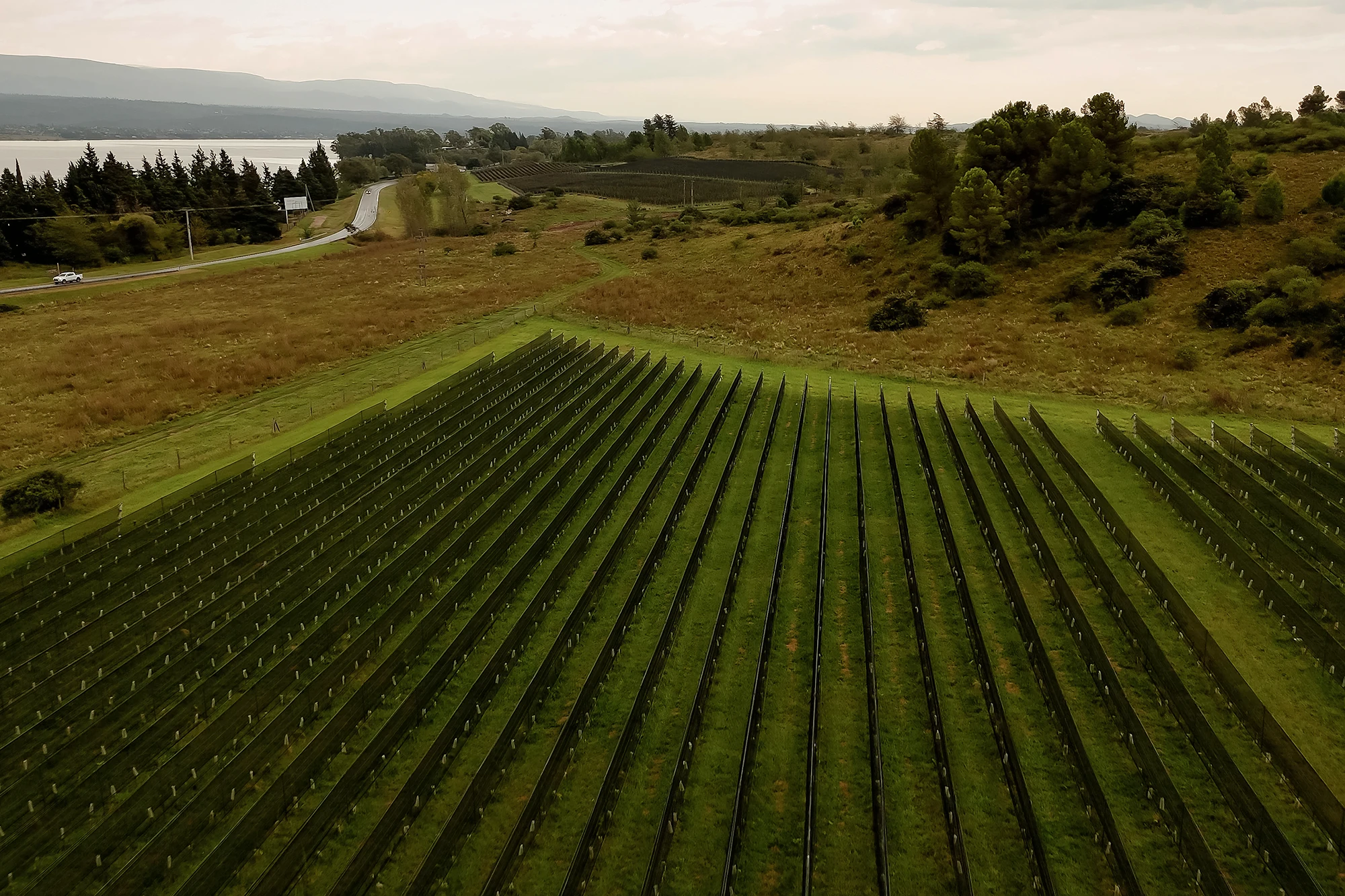 Lotes de montaña 14