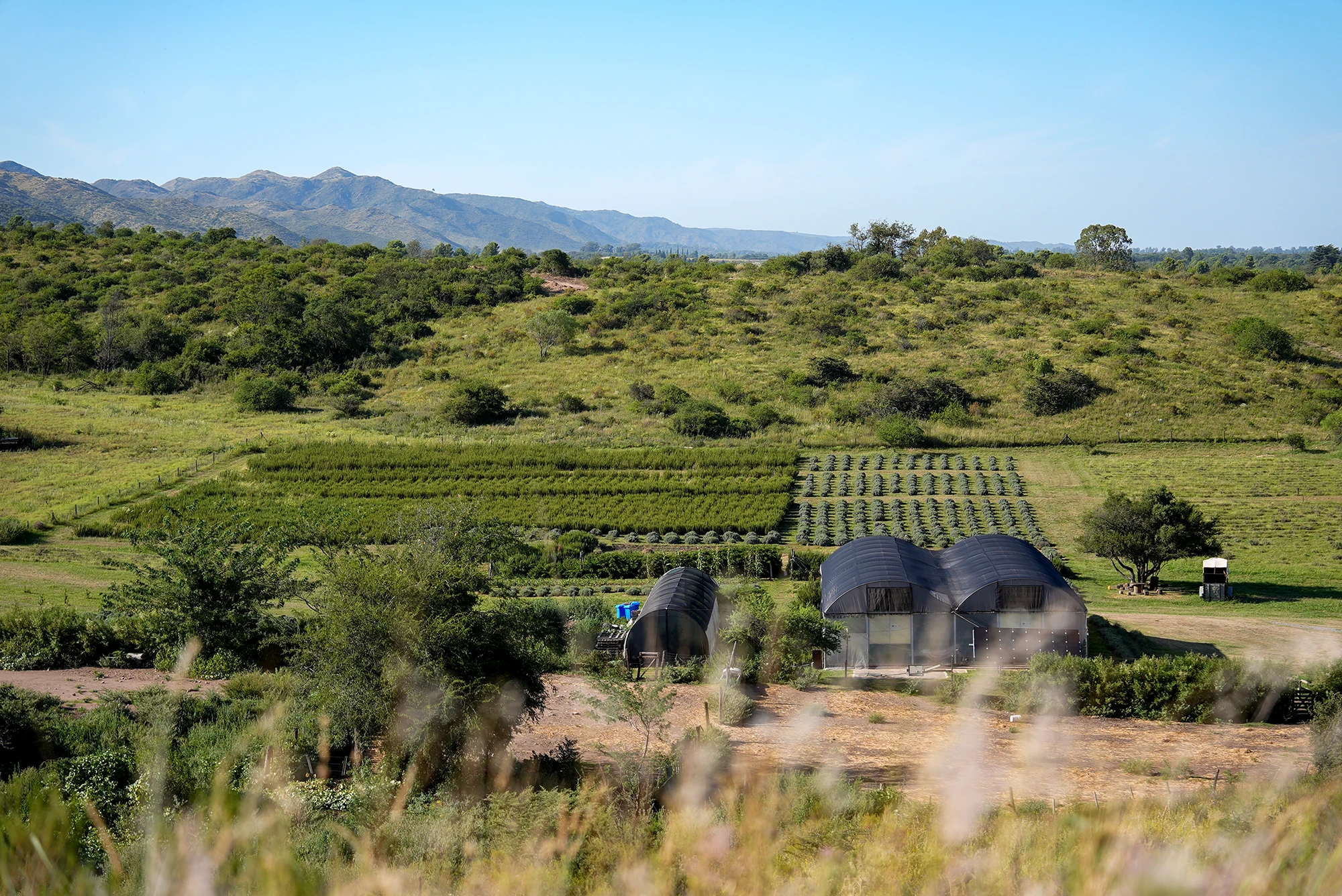 Lotes de montaña 16