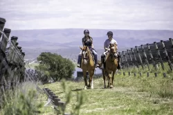 Cabalgata 1