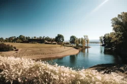 Molvento lago 8