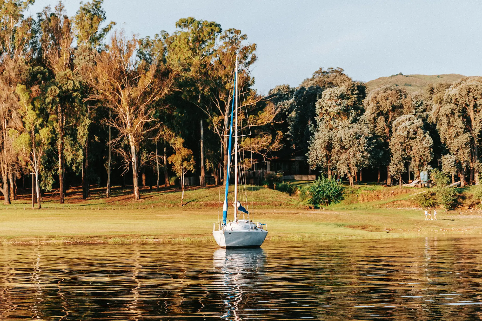 Paseos en velero